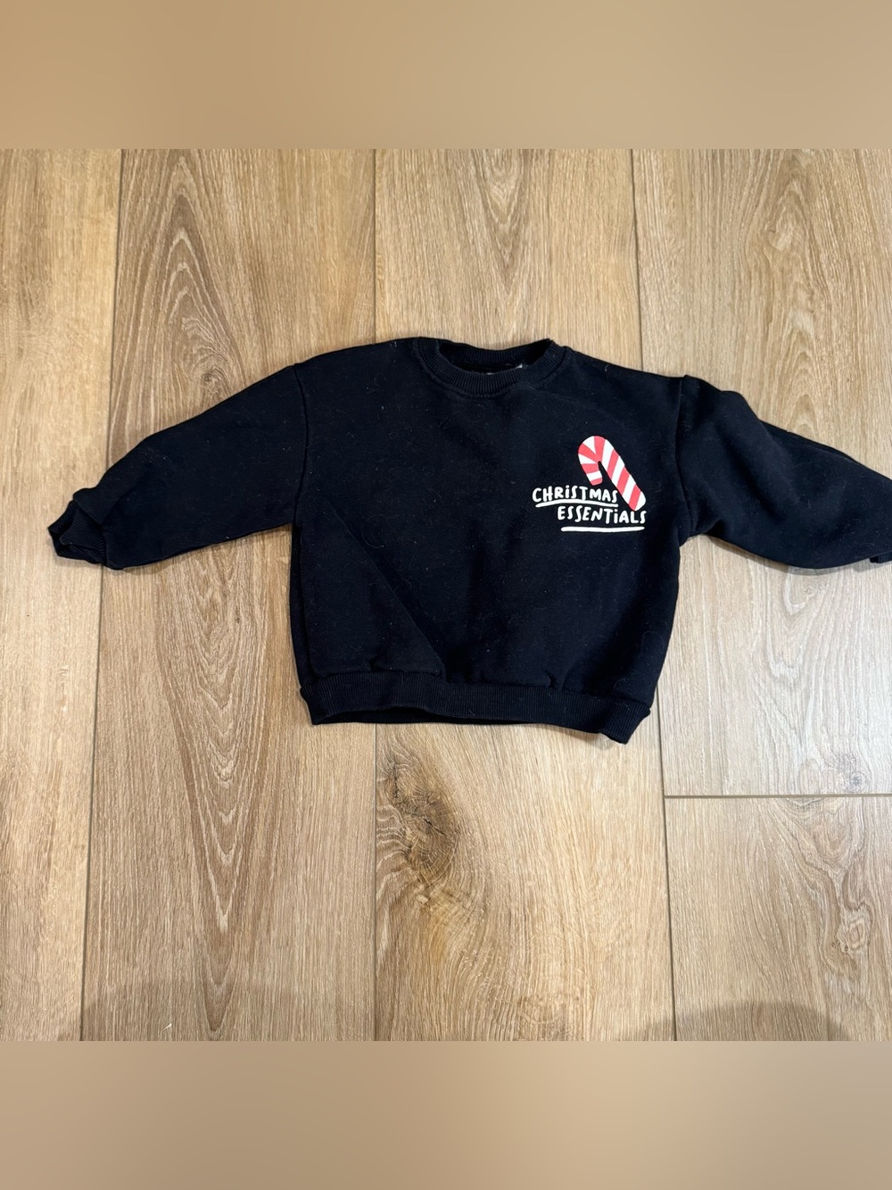 Zara // Holiday Printed Sweatshirt // 18-24 Months